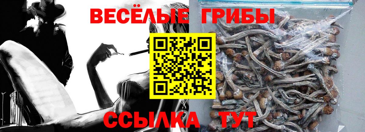 Галлюциногенные грибы Psilocybine cubensis  Вход с VPN  Урюпинск  Галлюциногенные грибы ЛСД 